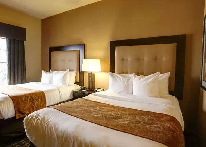 Comfort Suites Buda - Austin South