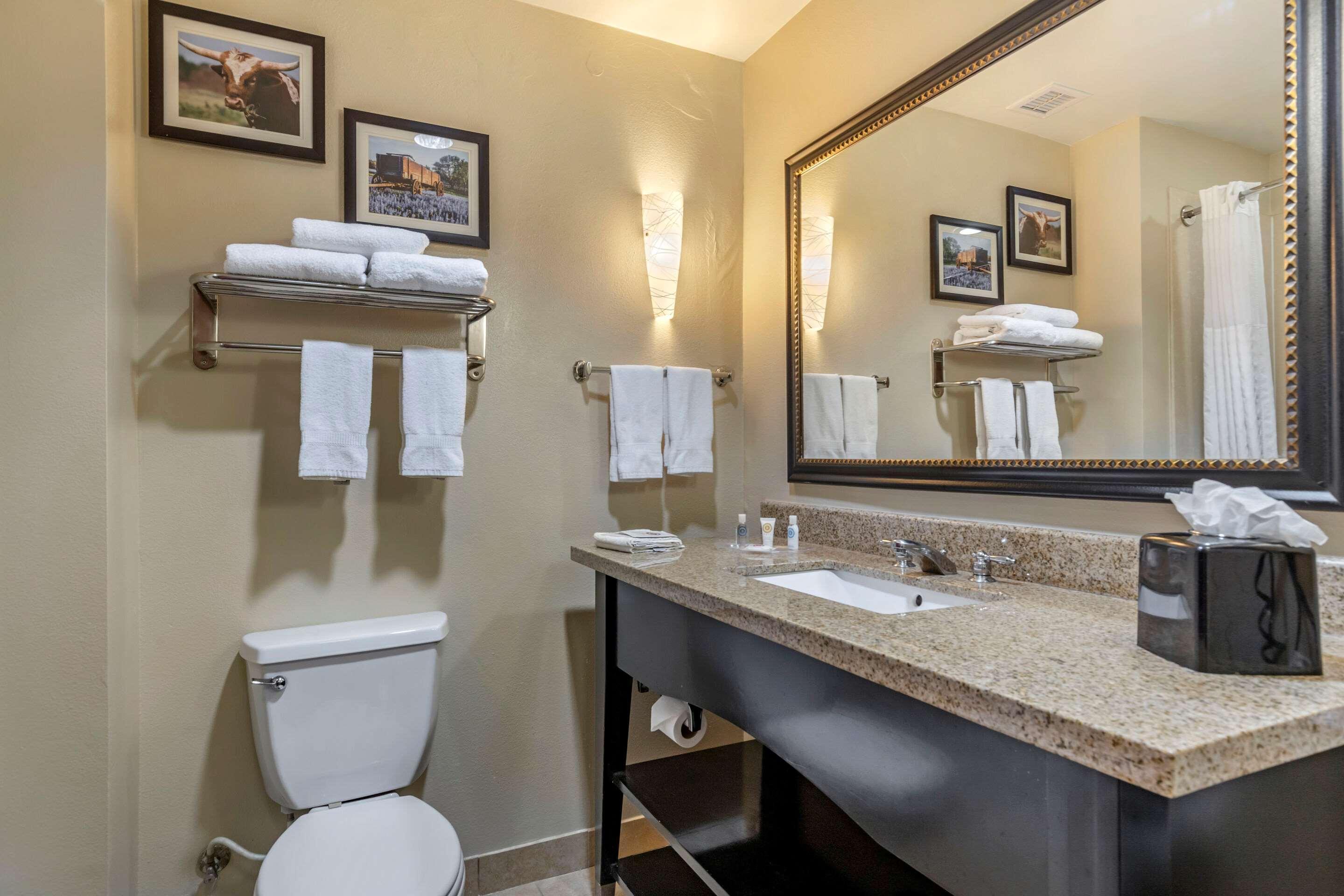 Hotel Comfort - Austin South